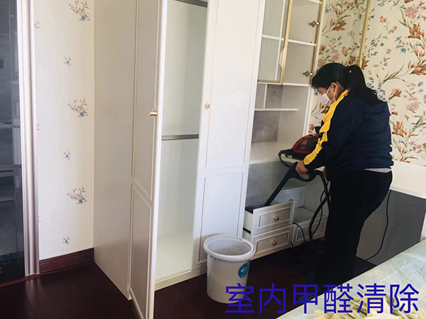 室內甲醛清除